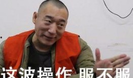 大力哥王者最新爆料,大力哥王者最新爆料，带你领略电竞江湖风云变幻