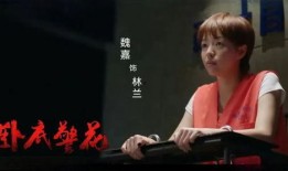 魏嘉爆料视频,事件背后惊人真相